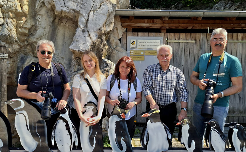 Fotoausflug Tiergarten Schönbrunn